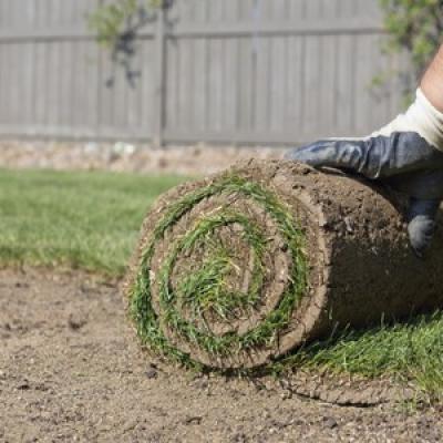 7773799234_comment-poser-une-pelouse-en-rouleaux