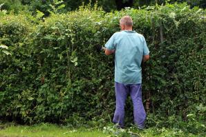 Landscape gardener 409148 960 721